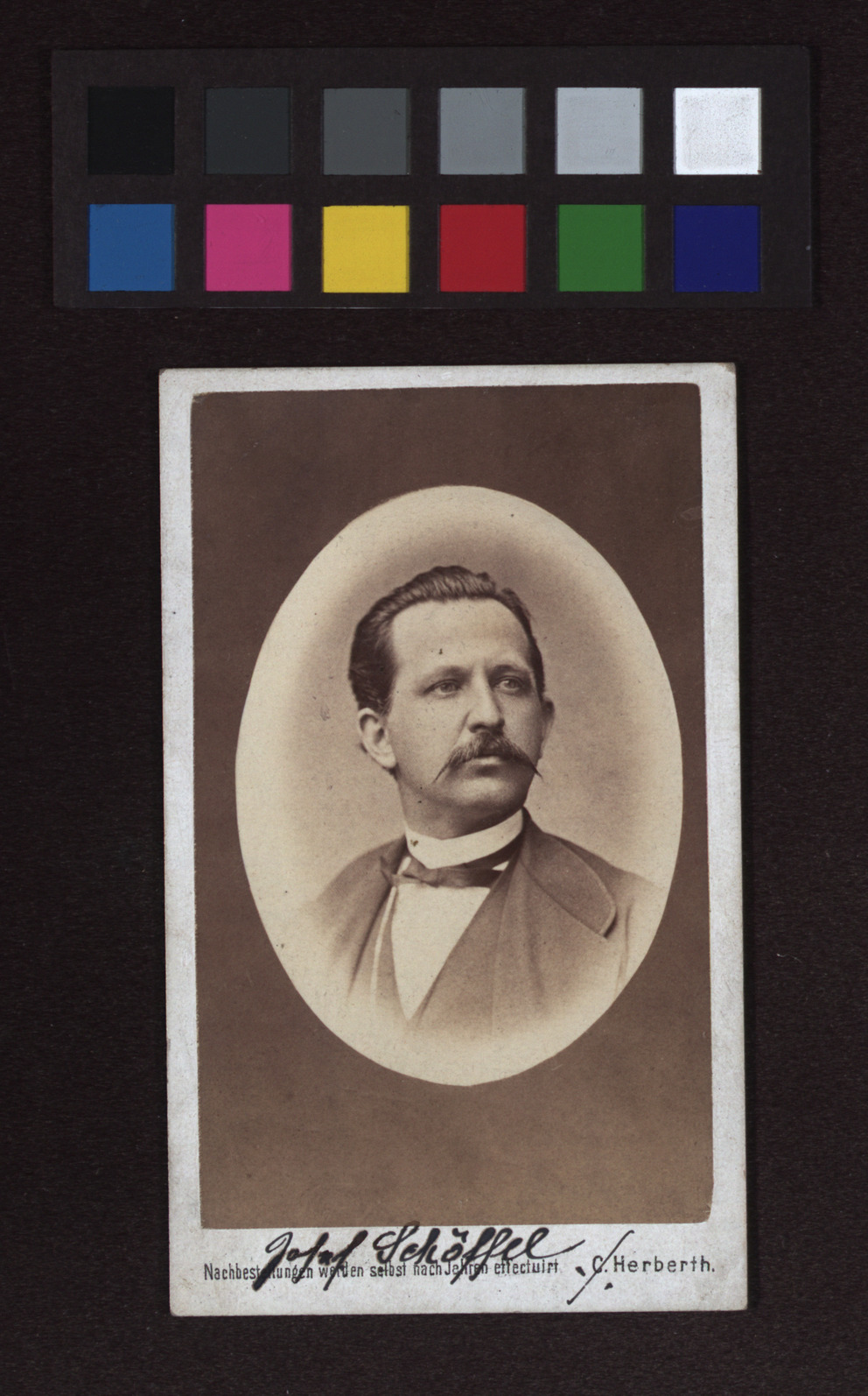 Josef Schöffel (18321910), Journalist, Politiker, Heimat und