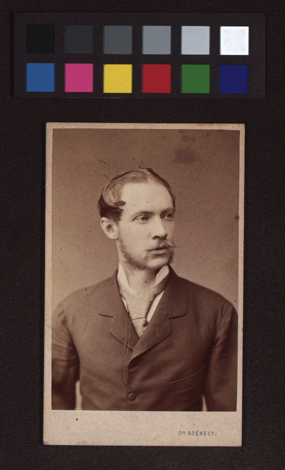 Maximilian Wladimir Freiherr Beck (18541943), Politiker