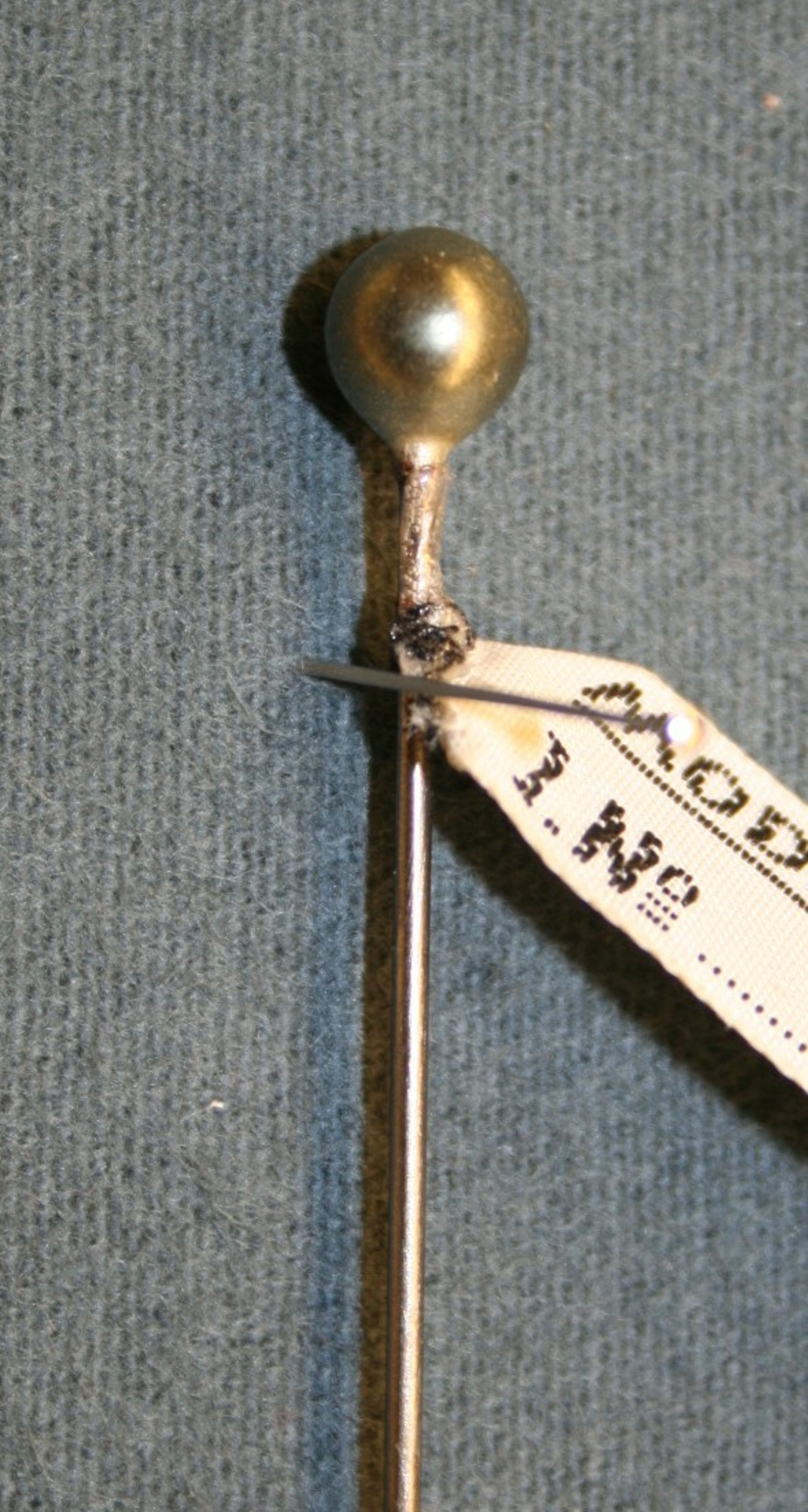 Hutnadel Wien Museum Online Sammlung