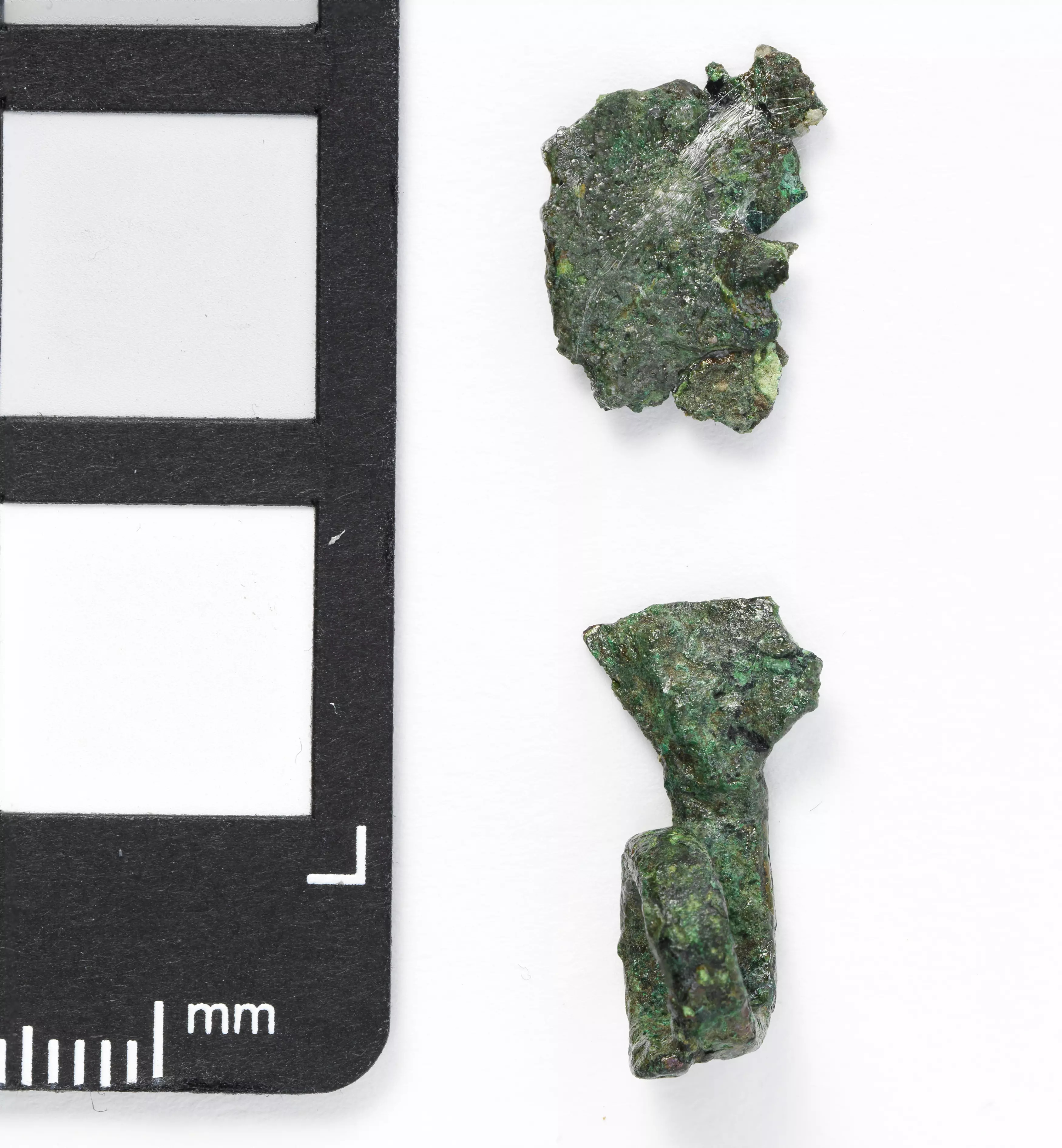 Nauheimer Fibel Feugère 5 oder Fibel vom Typ Jezerine Wien Museum